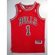Chicago Bulls - DERRICK ROSE - 1