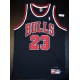 Chicago Bulls - MICHAEL JORDAN - 23